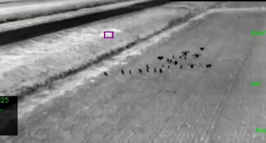 赤外線カメラの映像に映るカモの群れ