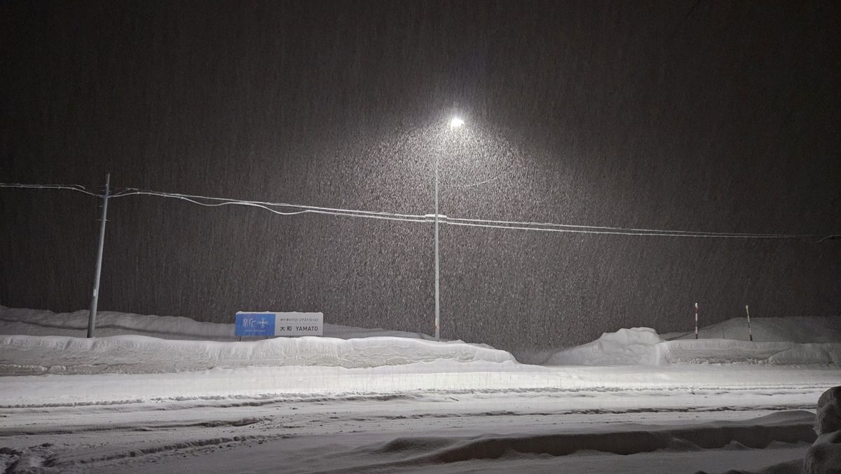 ロボットドローン実証：北海道・降雪の夜間環境